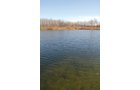 Property photo 48 - 117 Acres Offered in 6 Tracts
