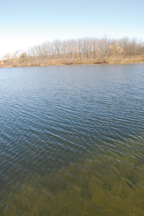 Property photo 73 - 117 Acres Offered in 6 Tracts
