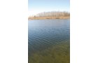 Property photo 73 - 117 Acres Offered in 6 Tracts
