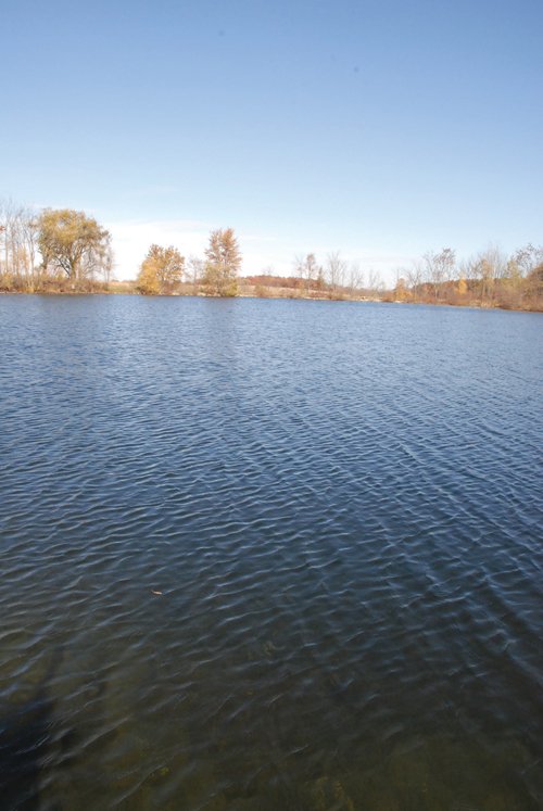 Property photo 101 - 117 Acres Offered in 6 Tracts
