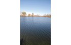 Property photo 101 - 117 Acres Offered in 6 Tracts
