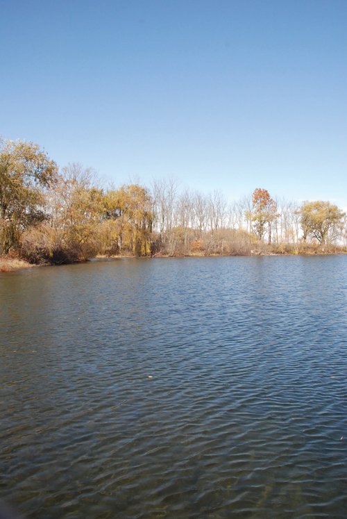 Property photo 26 - 117 Acres Offered in 6 Tracts
