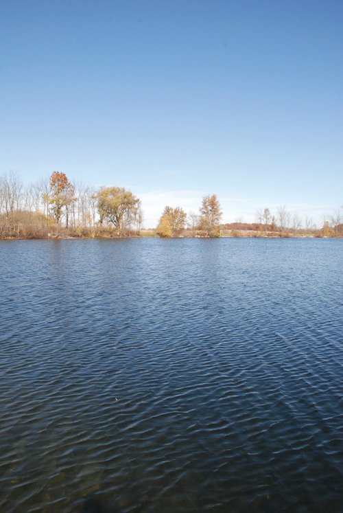 Property photo 2 - 117 Acres Offered in 6 Tracts
