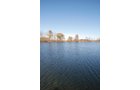 Property photo 2 - 117 Acres Offered in 6 Tracts
