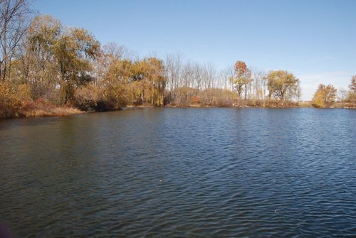 Property photo 98 - 117 Acres Offered in 6 Tracts
