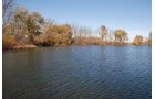 Property photo 98 - 117 Acres Offered in 6 Tracts
