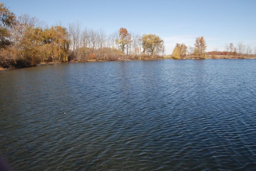 Property photo 56 - 117 Acres Offered in 6 Tracts
