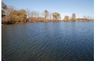 Property photo 56 - 117 Acres Offered in 6 Tracts
