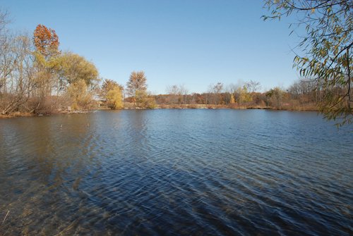 Property photo 76 - 117 Acres Offered in 6 Tracts
