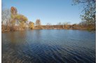 Property photo 76 - 117 Acres Offered in 6 Tracts
