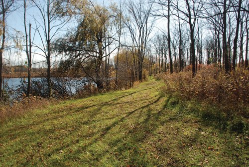 Property photo 17 - 117 Acres Offered in 6 Tracts
