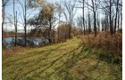 Property photo 17 - 117 Acres Offered in 6 Tracts
