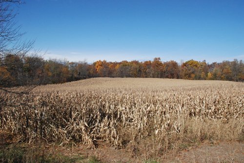 Property photo 57 - 117 Acres Offered in 6 Tracts
