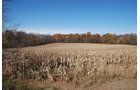 Property photo 57 - 117 Acres Offered in 6 Tracts
