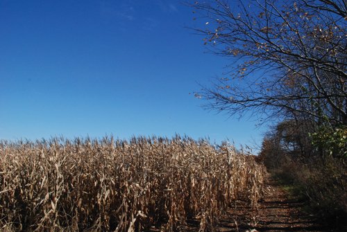 Property photo 71 - 117 Acres Offered in 6 Tracts
