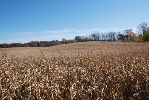 Property photo 89 - 117 Acres Offered in 6 Tracts
