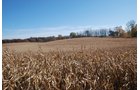 Property photo 89 - 117 Acres Offered in 6 Tracts
