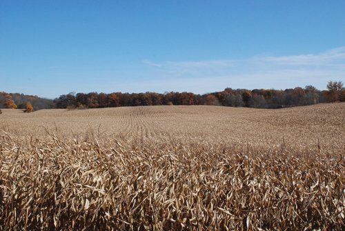 Property photo 38 - 117 Acres Offered in 6 Tracts
