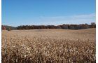 Property photo 38 - 117 Acres Offered in 6 Tracts
