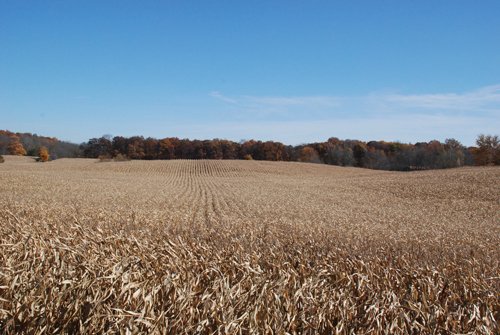 Property photo 87 - 117 Acres Offered in 6 Tracts
