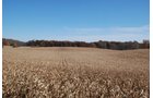 Property photo 87 - 117 Acres Offered in 6 Tracts
