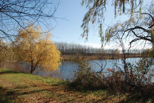 Property photo 14 - 117 Acres Offered in 6 Tracts
