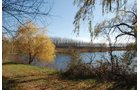 Property photo 14 - 117 Acres Offered in 6 Tracts
