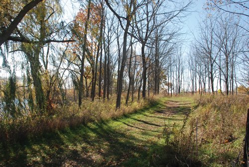 Property photo 79 - 117 Acres Offered in 6 Tracts
