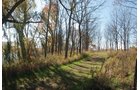 Property photo 79 - 117 Acres Offered in 6 Tracts

