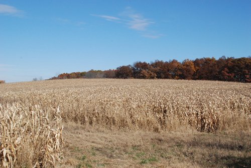 Property photo 33 - 117 Acres Offered in 6 Tracts
