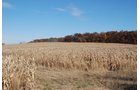 Property photo 33 - 117 Acres Offered in 6 Tracts
