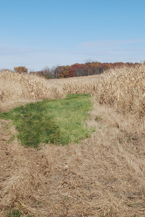 Property photo 85 - 117 Acres Offered in 6 Tracts
