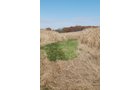 Property photo 85 - 117 Acres Offered in 6 Tracts
