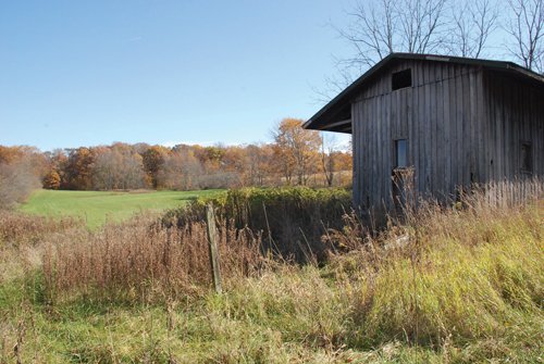 Property photo 61 - 117 Acres Offered in 6 Tracts
