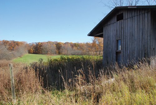 Property photo 42 - 117 Acres Offered in 6 Tracts
