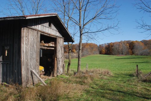 Property photo 11 - 117 Acres Offered in 6 Tracts
