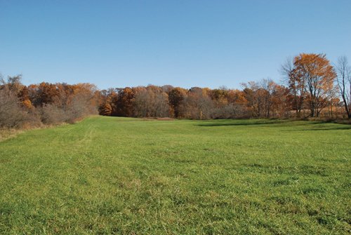 Property photo 75 - 117 Acres Offered in 6 Tracts
