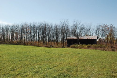 Property photo 50 - 117 Acres Offered in 6 Tracts
