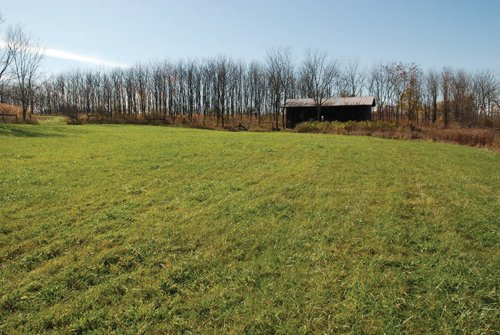 Property photo 52 - 117 Acres Offered in 6 Tracts
