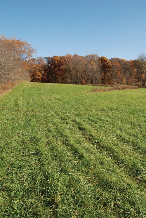 Property photo 32 - 117 Acres Offered in 6 Tracts
