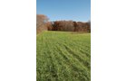 Property photo 32 - 117 Acres Offered in 6 Tracts
