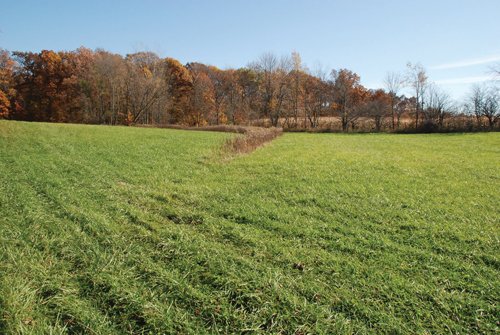 Property photo 95 - 117 Acres Offered in 6 Tracts
