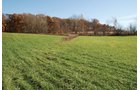 Property photo 95 - 117 Acres Offered in 6 Tracts
