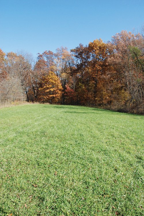Property photo 68 - 117 Acres Offered in 6 Tracts
