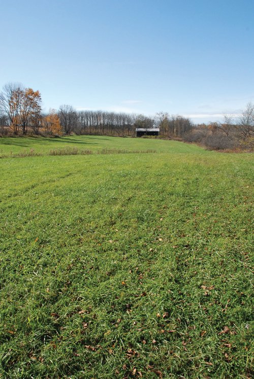 Property photo 46 - 117 Acres Offered in 6 Tracts
