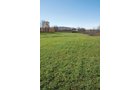 Property photo 46 - 117 Acres Offered in 6 Tracts
