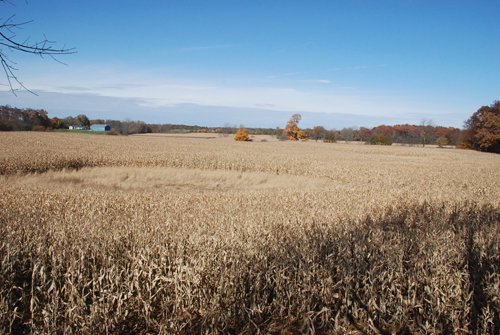 Property photo 94 - 117 Acres Offered in 6 Tracts

