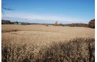 Property photo 94 - 117 Acres Offered in 6 Tracts
