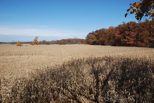 Property photo 8 - 117 Acres Offered in 6 Tracts
