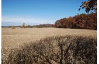 Property photo 8 - 117 Acres Offered in 6 Tracts
